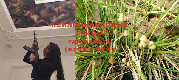 ешки Новозыбков