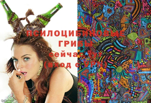 кокаин Новодвинск