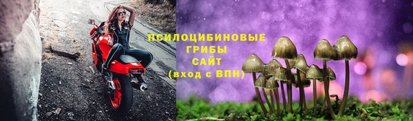 ешки Новозыбков